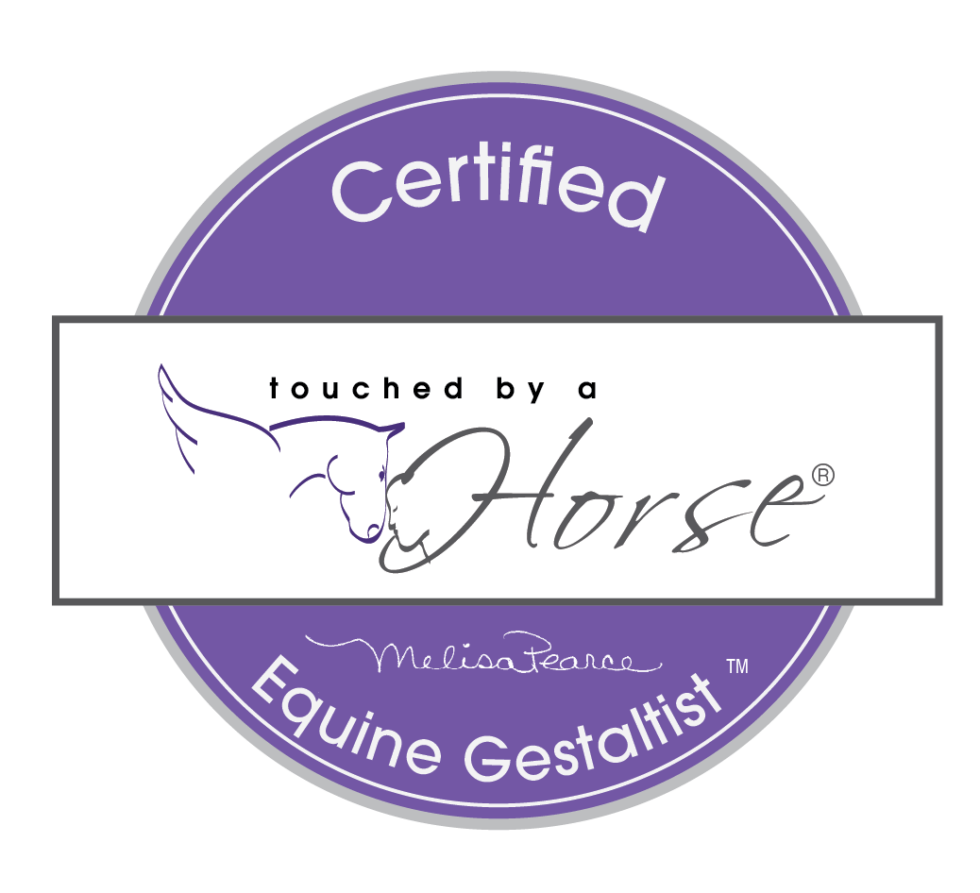 Equine Coaching Certification Program Details Touched by a Horse